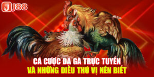 ca-cuoc-da-ga-truc-tuyen-va-nhung-dieu-thu-vi-nen-biet-