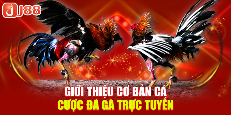 gioi-thieu-co-ban-ca-cuoc-da-ga-truc-tuyen
