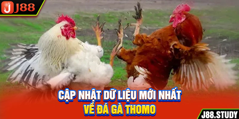 cap-nhat-du-lieu-moi-nhat-ve-da-ga-thomo